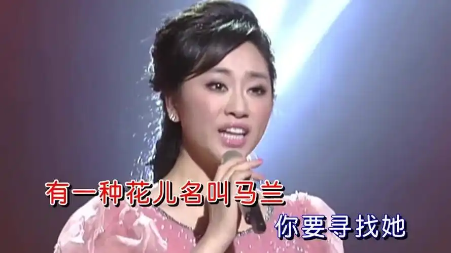 金婷婷《大漠深处》,花儿马兰,大漠酒泉,不忘奉献的航天人!