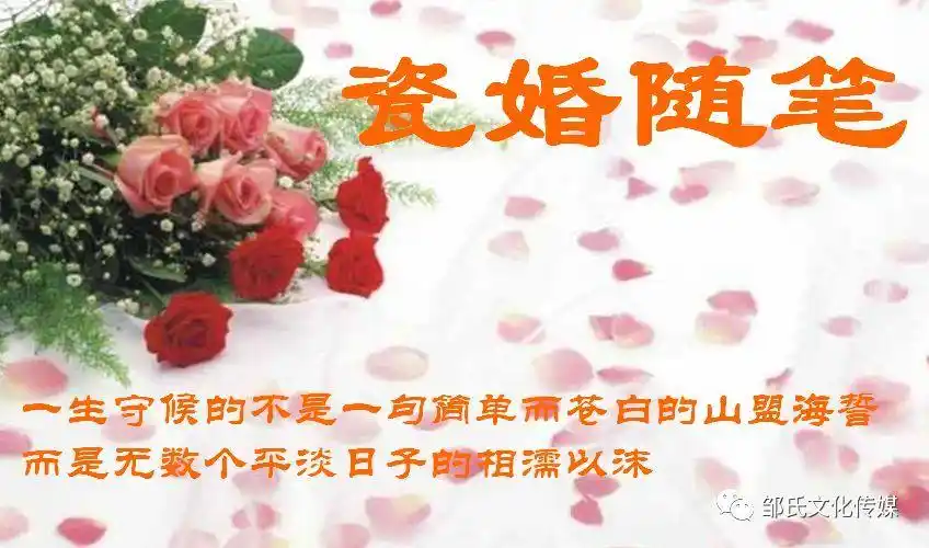 【情感散文】瓷婚随笔