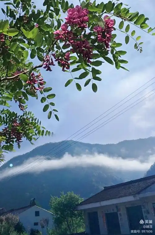 秦岭不只是岭,他有属于自己的十大高峰,坐落于甘肃省甘南州迭部县的