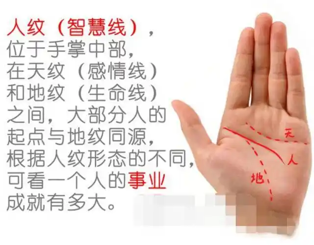 老人都说,从手指看你的晚年命运,贼准贼准的!|手指|命运|老人_新浪新