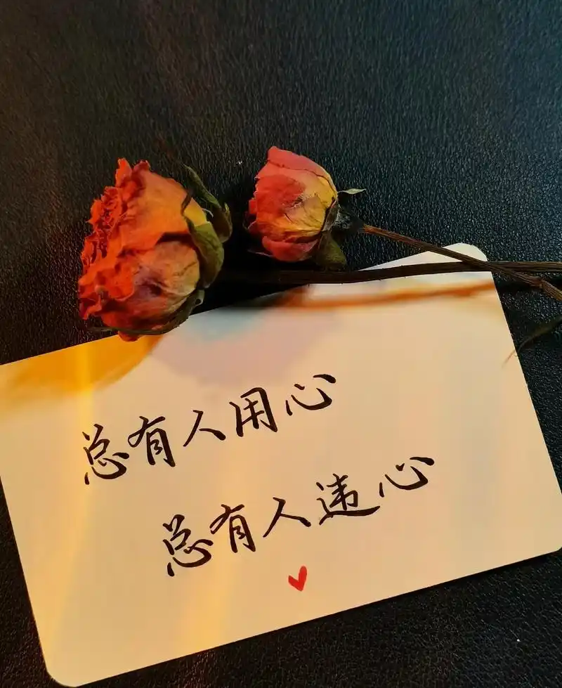 将所有的一言难尽,一饮而尽 |韩梅梅手写