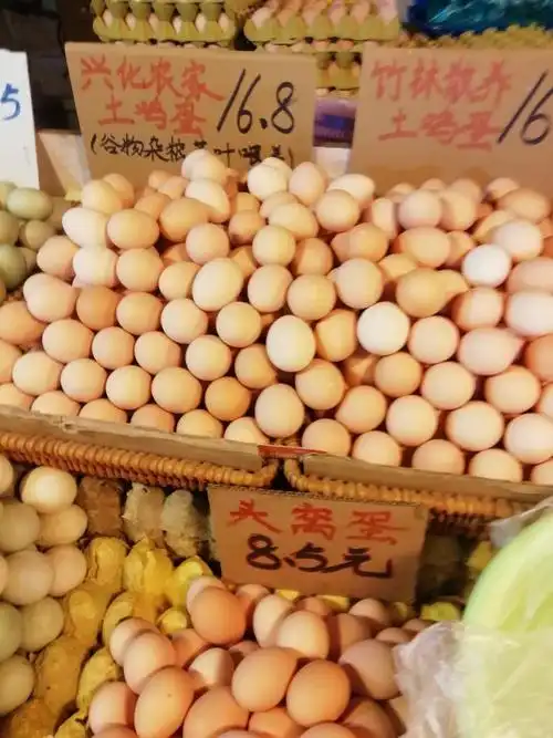 鸡蛋期货价格太便宜了我在浦东最大的菜场买菜最便宜的价格所有摊位