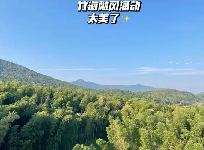 宜兴竹海风景区抓住入冬前的温暖小尾巴