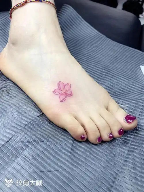 脚背小樱花