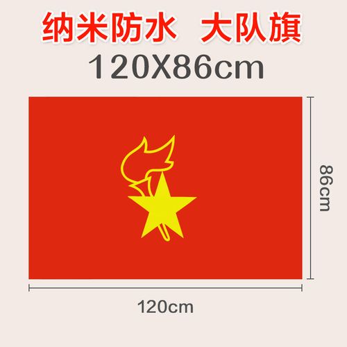 少先队队徽小学生别针式中国少先队员少年先锋队吸铁石红领巾徽章