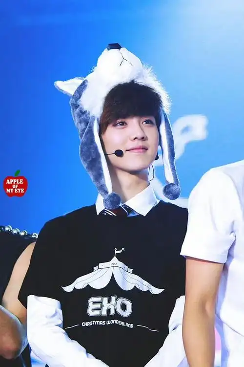 歌手鹿晗##鹿晗