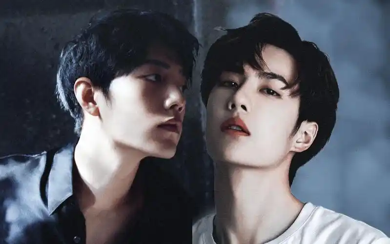 【博君一肖 || 杂志×舞台混剪】双alpha强强对碰,神仙夫夫在线取向