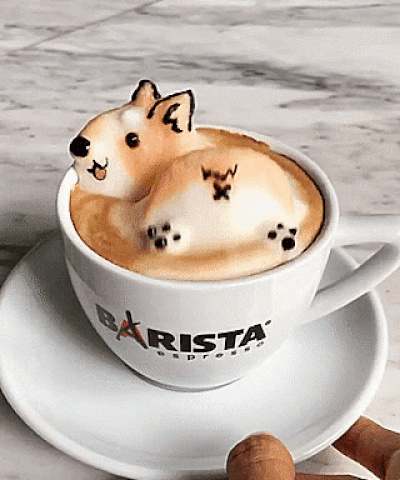 搞笑gif图:对不起,真的打不过,你找其他人当男朋友吧_网易订阅