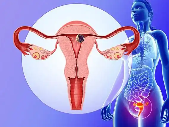 21岁女性子宫大概多大算是幼稚子宫?-十月幸孕