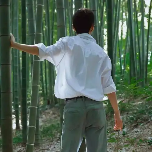 【微信头像】肖战