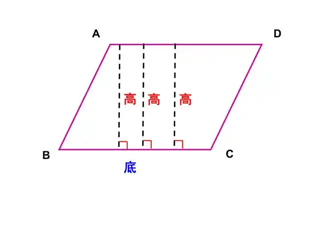梯形各部分名称及高的画法-徐芹