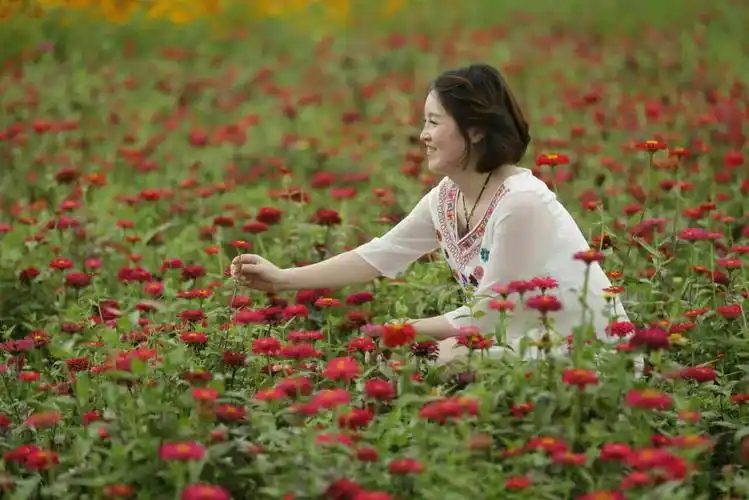艳丽的鲜花与清新的美女组合成一幅意境图