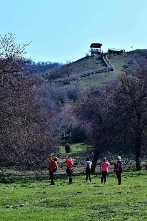 新疆自驾游伊犁福寿山杏花沟