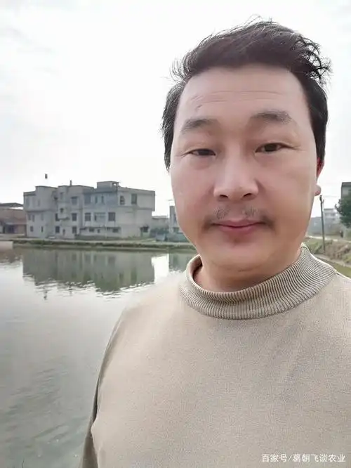 从懵懂少年熬到了油腻大叔