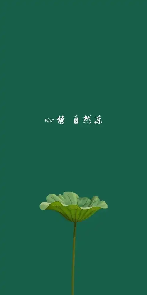 清新绿色护眼荷花壁纸