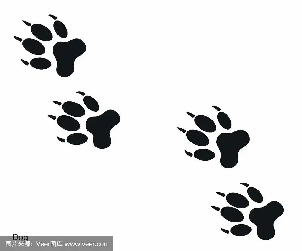 动物的脚印,狗