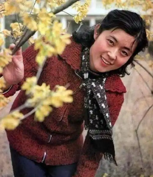 倪萍年轻时有多美气质不输王祖贤不愧是曾经的央视一姐