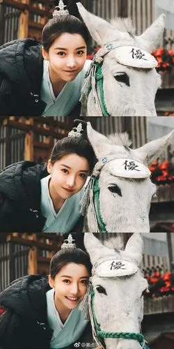 问到了!叫姜贞羽