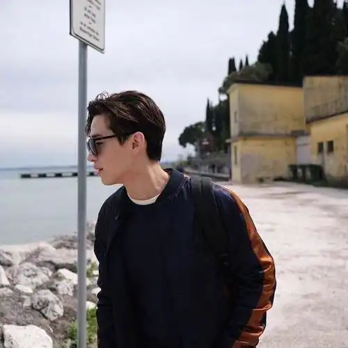 头像|刘宪华头像