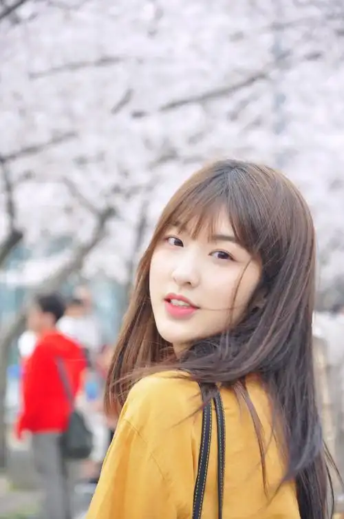 你好对方辩友林昕宜写真曝光好一张清灵校花初恋脸