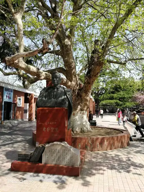 老舍公园,很舒服的一个小型公园,看到樱花的地方都极美.