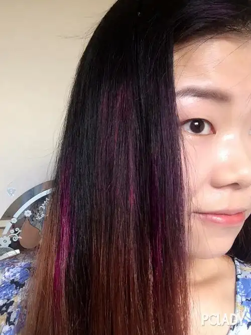 【柏柏】新宠好物分享