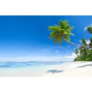 大海风景画挂画海报沙滩椰树图无框画芯卧室餐厅客厅装饰墙画定制