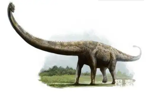 世界上最重的恐龙之一腕龙体重30吨身长26米如五层大楼2