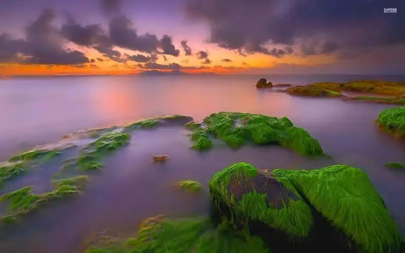在长满苔藓的岩石壁纸的日落,高清图片,壁纸,自然风景-桌面城市
