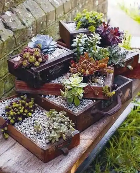 废物利用让你的花园与众不同