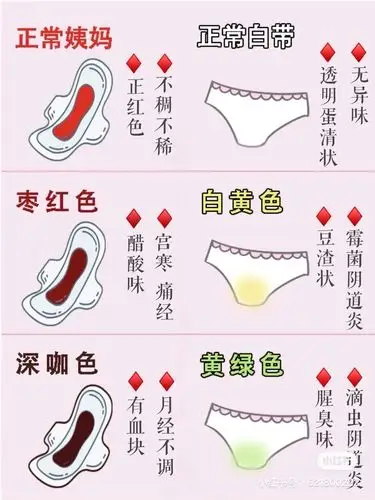 妇科疾病图片收集