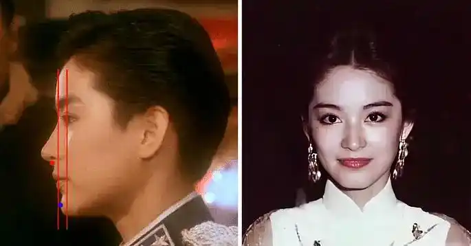 反之,非常标准的凸面直颌型 — 大美人林青霞,就是端正大气的风格