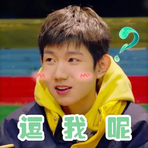 ( 王源表情包)