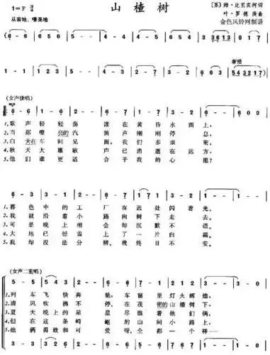 山楂树之恋吉他谱