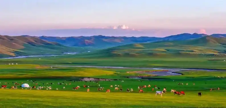 内蒙古赤峰市阿鲁科尔沁旗政府门户网站