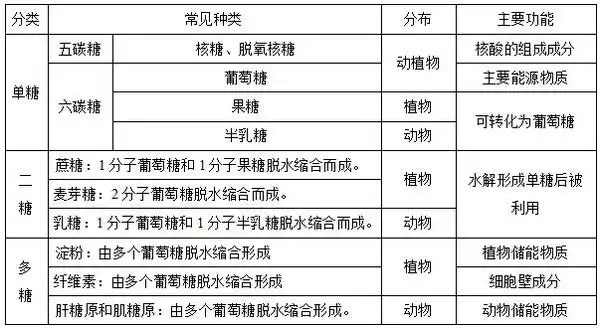 糖类化学的单糖