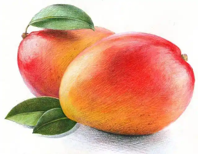 彩铅手绘水果系列 可爱水果酸酸又甜甜