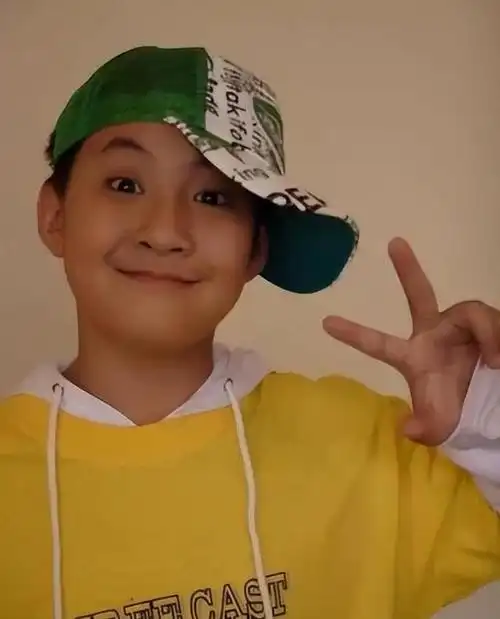 家有儿女20年后小演员现状对比有人逆袭大火有人默默无闻