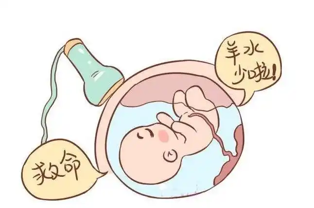 胎儿_胎盘_新生儿