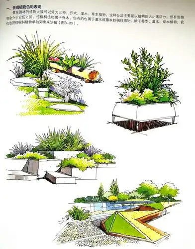 园林景观小品线稿及手绘效果图