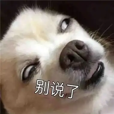 能一秒把人逗笑的表情 逗人开心的表情合集 - 运河边百科网