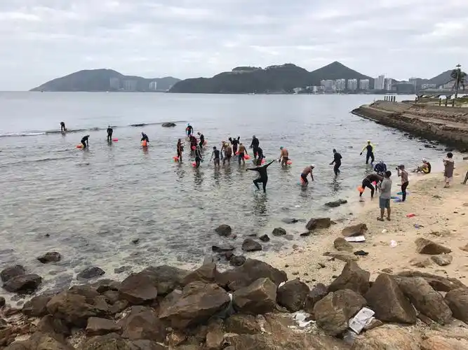 三亚湾游泳队,海南东方游泳大队-迎新春横渡大小东海友谊比赛