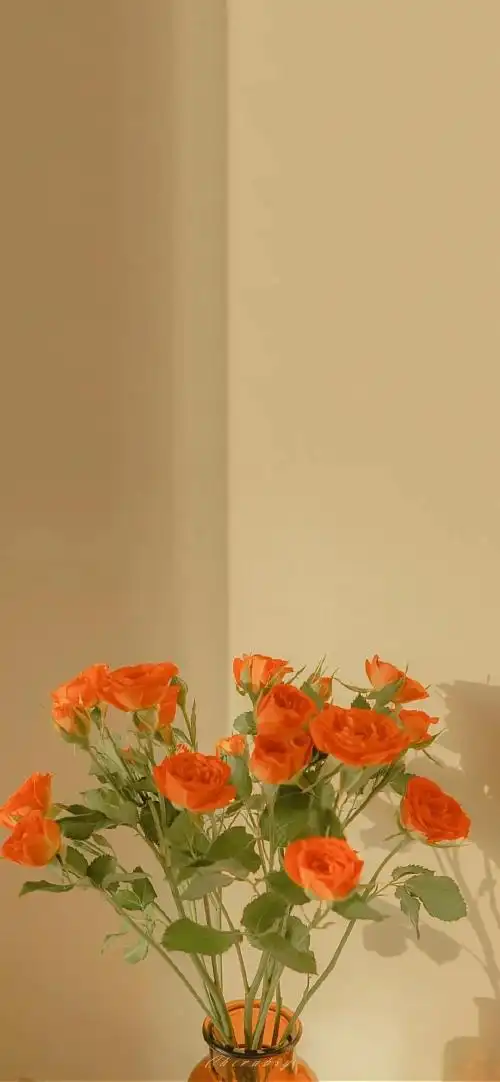 高级氛围感壁纸小众高级感壁纸全屏很高级感的壁纸高清网红ins