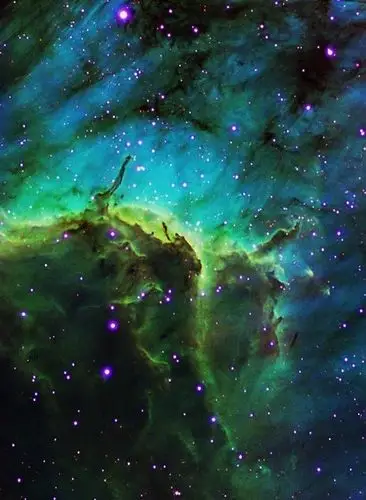 美图,小清新,文艺,治愈系,锁屏,背景图片,摄影,萌物,生活,壁纸,扣图