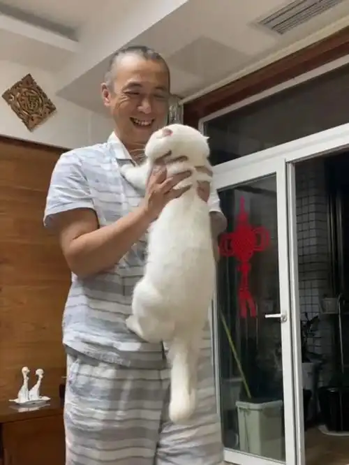 当时坚决不能养猫的爸爸