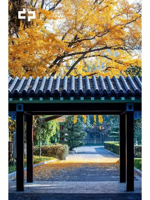 南师大随园校区校园留念