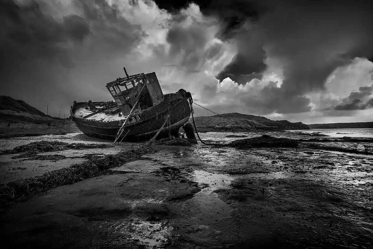 monochrome-自然黑白照片