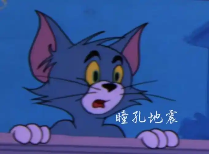 猫和老鼠表情包