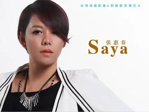 沙哑张惠春个人演唱会上海站