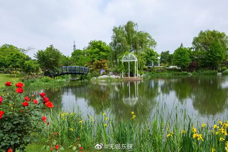 尚田小镇青青河边草悠悠绿草香